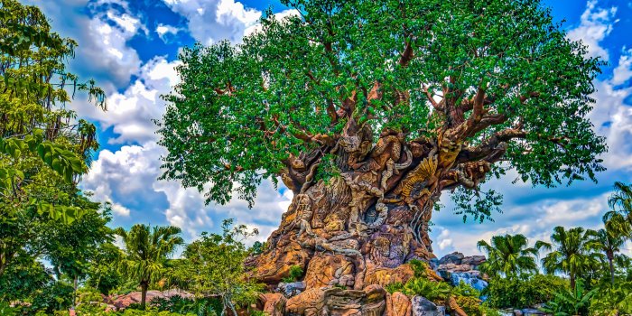 2560x1600 Download wallpapers Tree of Life, park, Disneys Animal Kingdom, HDR