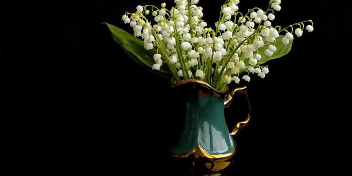 1366x768 Flowers: Flower Lilies Bouquet White Flowers Valley Nature Hd 4k for