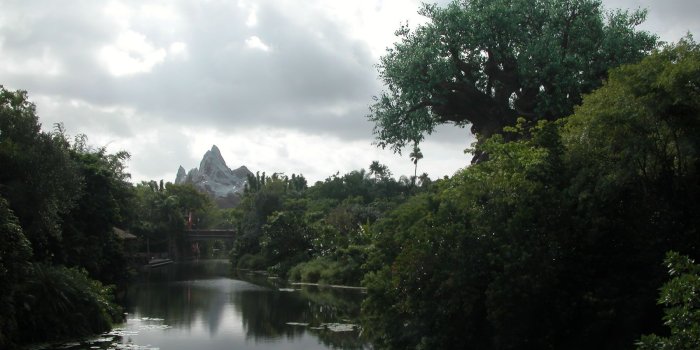 1600x1200 Disney World Animal Kingdom - Desktop Wallpaper - 1600 x 1200