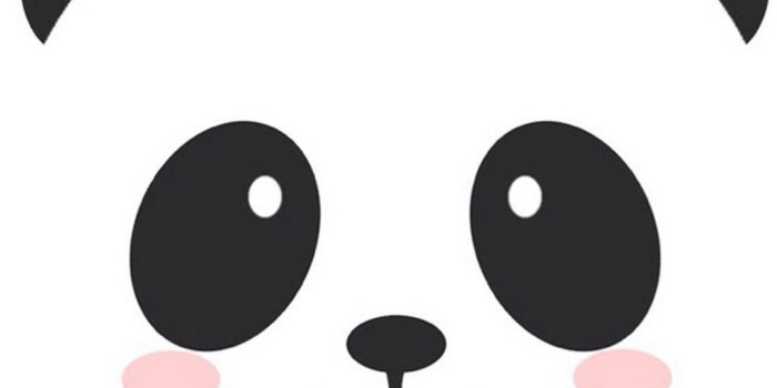 1080x1920 84+ Panda Iphone Wallpapers on WallpaperPlay