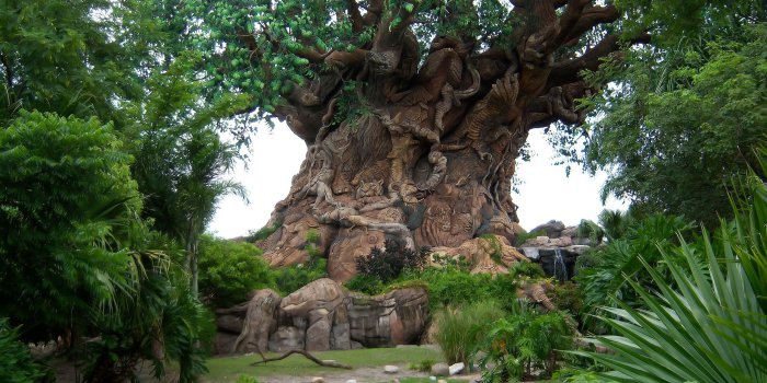 2560x1440 Disney World Landscape Desktop Wallpapers - Top Free Disney World