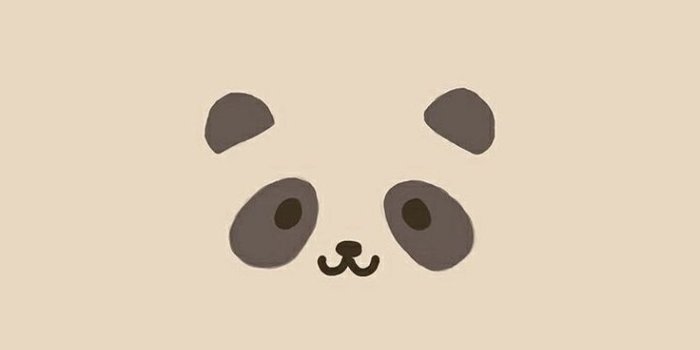 736x1161 49+] Panda iPhone Wallpaper on WallpaperSafari