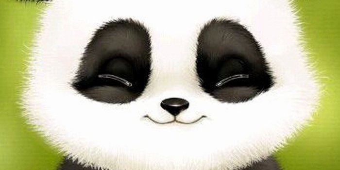 1080x1920 Baby Panda Wallpapers - Top Free Baby Panda Backgrounds