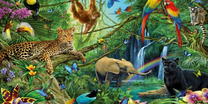 1920x1200 Animal Kingdom Dwellers Of The Jungle Desktop Backgrounds Free