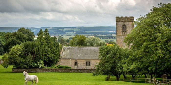 1366x768 Wallpaper horse United Kingdom Allerston Nature Meadow 1366x768