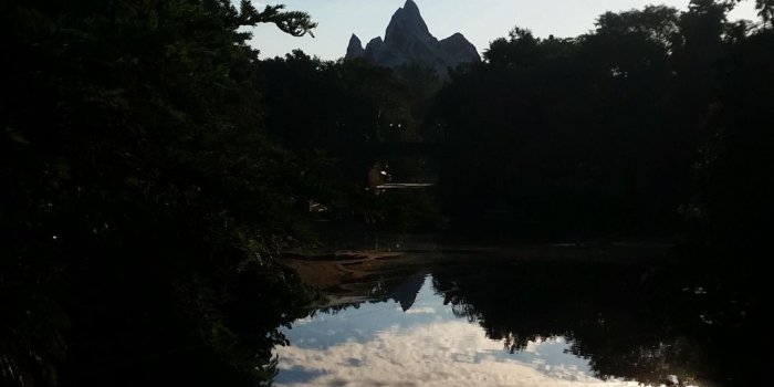 1024x768 orlando 4K wallpapers for your desktop or mobile screen free and