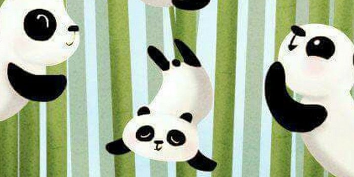 1080x1920 iPhone Wallpaper HD Baby Panda | 2019 Cute Wallpapers