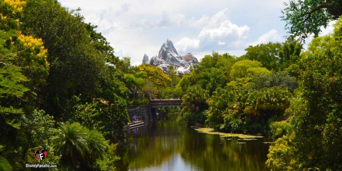1366x768 7 Fun Facts About Animal Kingdom's Expedition Everest At Disney World