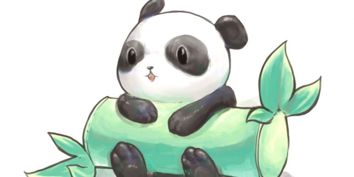 1373x1092 Wallpaper Tumblr Panda Cute For Iphone - wallpaper iphone