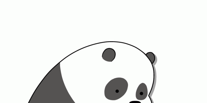 800x1421 Cute Panda iPhone Wallpaper Tumblr_hd wallpaper_download free wallpaper