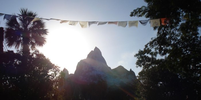 1600x1115 WDWforGrownups Disney Desktop Wallpaper