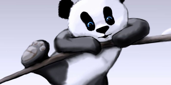 1080x1200 Panda Wallpapers Love
