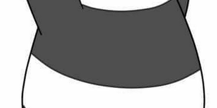 1080x1920 iPhone Wallpaper HD Panda | 2019 Cute Wallpapers