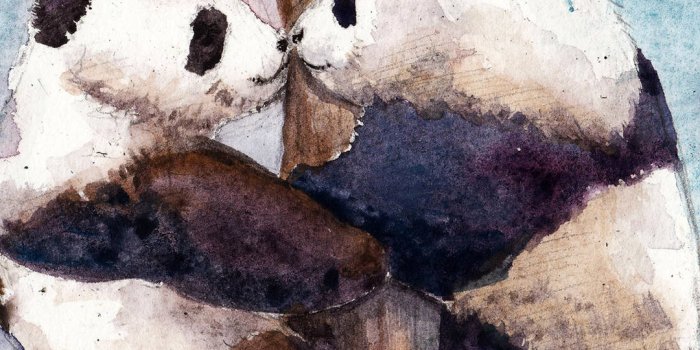 1080x1920 11 Cute Panda Wallpapers for iPhone With 1920x1080 Resolution