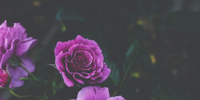 1000x1498 Hey, buy me a Coffee :) Paypal | HD photo by Ricardo Resende