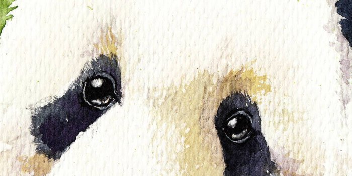 1080x1920 11 Cute Panda Wallpapers for iPhone With 1920x1080 Resolution