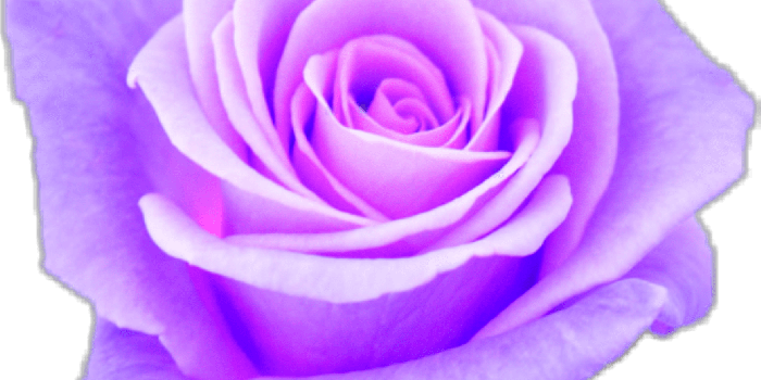 1762x1672 HD Aesthetic Purple Rose Www Topsimages Com - Aesthetic Purple