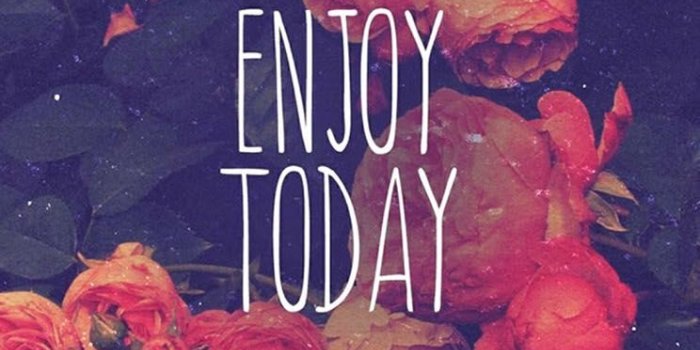 744x1392 Enjoy Today Red Rose - Aesthetic Wallpaper For Iphone 8 (#877834