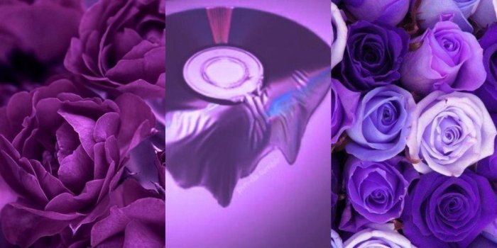 1079x1920 roses aesthetic | Tumblr