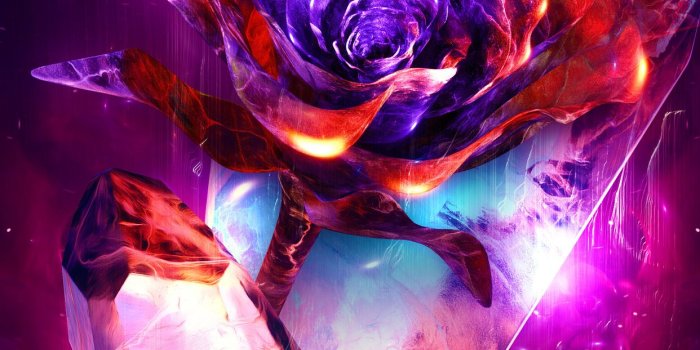 1242x2688 Rose Abstract 4k Wallpaper
