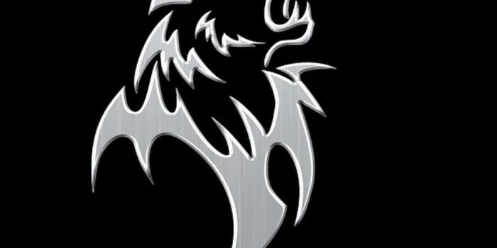 900x900 Jpeg v.6.2 wallpaper, PC big, Lone wolf