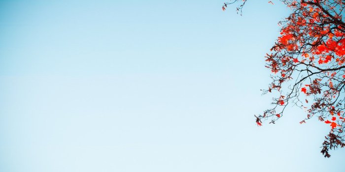 1920x1080 Blue Sky Wallpaper (71+ images)