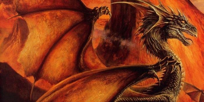 1024x768 Fire Dragon - funkyrach01 Wallpaper (16754300) - Fanpop