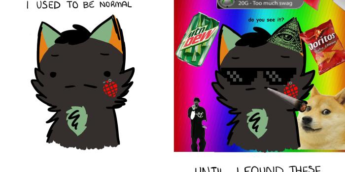 3000x2000 MLG Meme Wallpaper (90+ images)