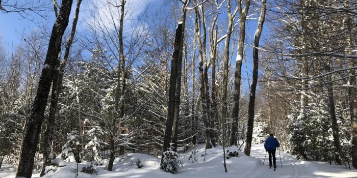 2048x1536 Another Day, Mid-Winter, Perfect Conditions - Wild Wings Ski & Yoga