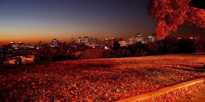 1920x1200 65+ Fall City Wallpapers - Download at WallpaperBro