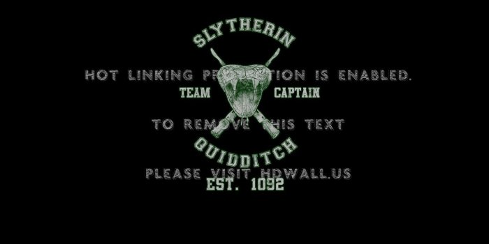 1366x768 harry potter quidditch hogwarts slytherin