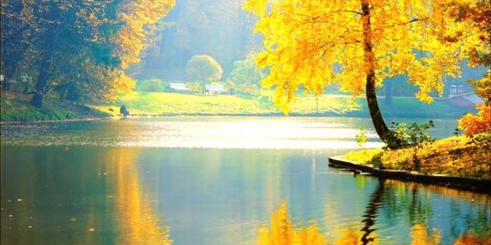 1280x720 Cool Beautiful Wallpaper, Download picture of a stunning hd