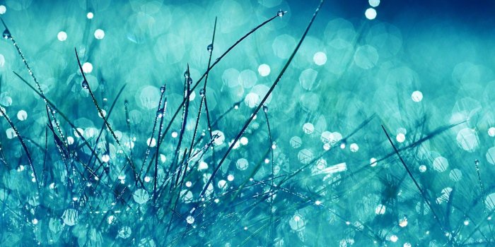 1920x1080 Very Cool Wallpapers > Flip Wallpapers > Download Free Wallpaper HD