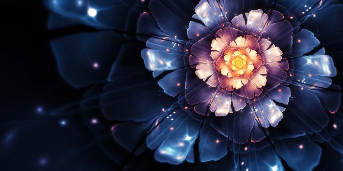 1920x1200 50 Beautiful Flower Wallpaper Images For Download