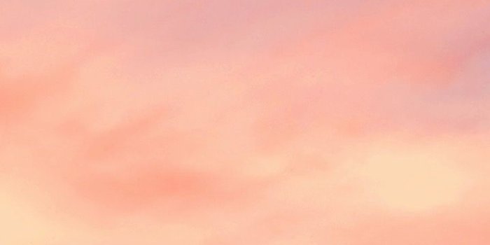 719x1280 Payton Moon on wallpaper in 2019 | Pastel color wallpaper