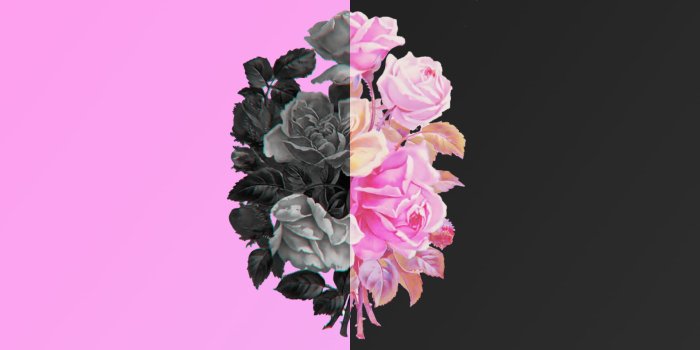 1920x1080 Gray and pink petaled flowers illustration, nature, flower, black