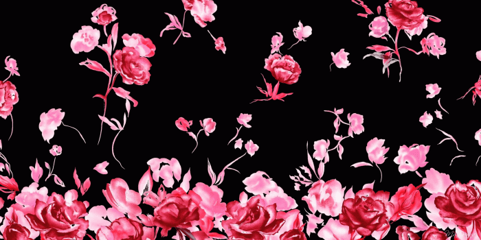 1920x1080 Pink Roses - Backgrounds Black And Pink Flower Free Wallpaper