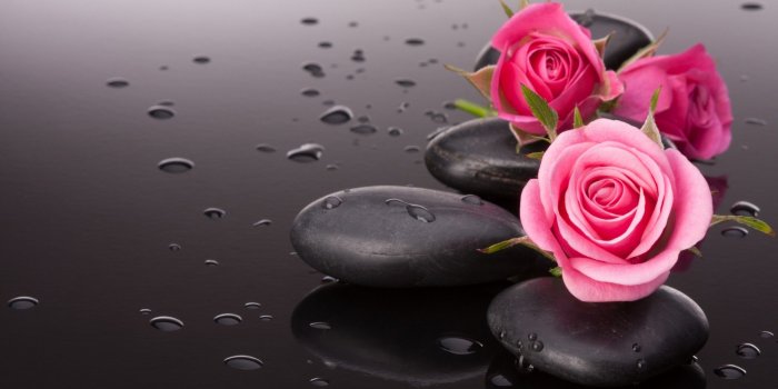 2560x1600 57+ Love Flower Wallpapers on WallpaperPlay