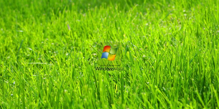 1920x1200 Window Vista Wallpaper (61+ images)