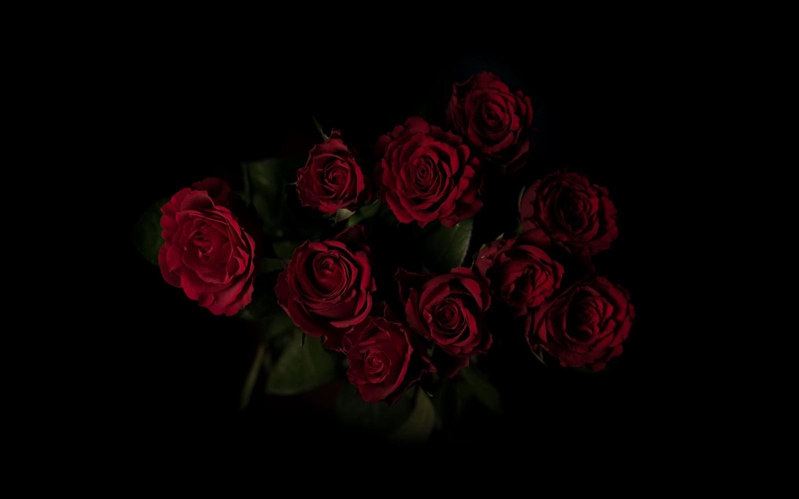 3840x2400 Download wallpaper 3840x2400 roses, bouquet, red, dark background 4k