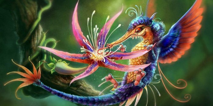 1600x1000 63 Most beautiful animals 618 :: Animated Animal Hd Wallpapers