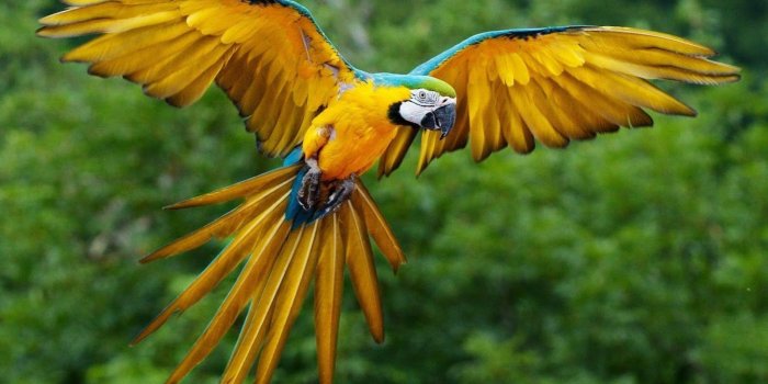 1600x914 Most Beautiful HD Wallpapers - Top Free Most Beautiful HD