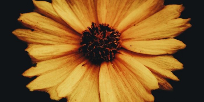 1440x2560 Samsung Galaxy S6 edge Plus Wallpapers HD