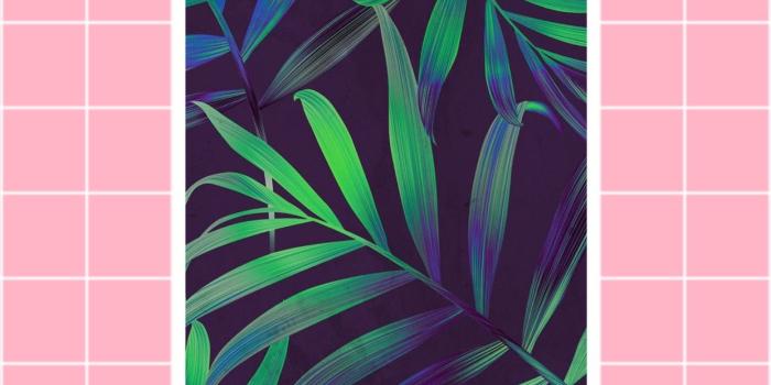 1242x2208 Aesthetic phone wallpaper Gallery