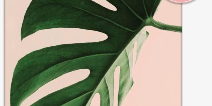 820x1023 Minimalist Wallpaper Aesthetic - Free Photo and Wallpaper