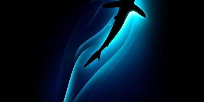 750x1334 Samsung Wallpapers [S6, S6 Plus, S6 Edge, Note 4, Note 5 - Note Edge