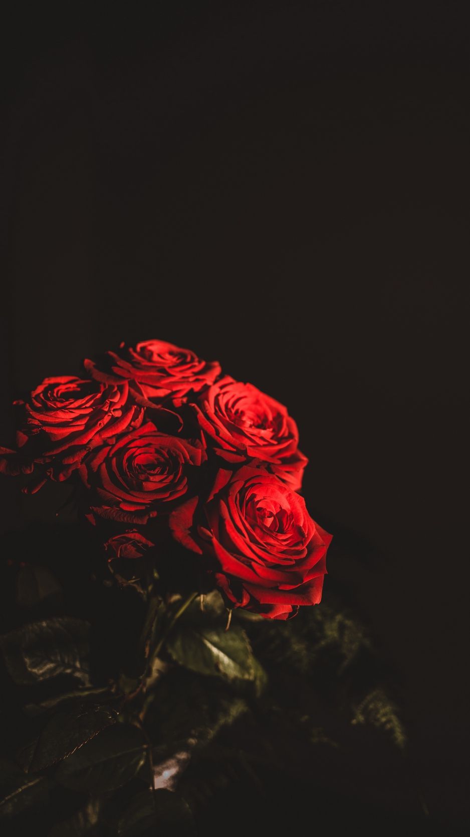 938x1668 Download wallpaper 938x1668 roses, bouquet, flowers, dark, red