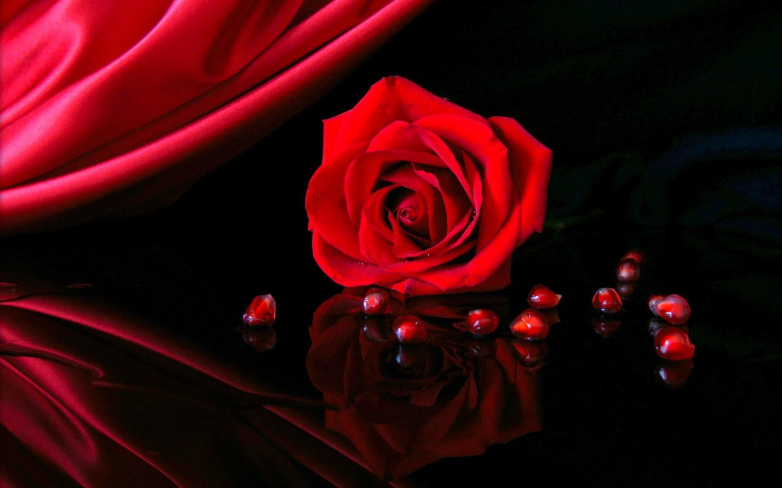2560x1600 Top 10 Punto Medio Noticias | Dark Red Rose Images Free Download