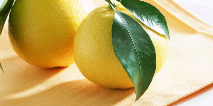 1024x768 46+] Kitchen Fruit Wallpaper on WallpaperSafari