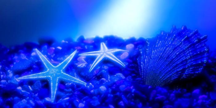 1920x1200 Free download Blue Nature 19968 Hd Wallpapers in Nature Imagescicom